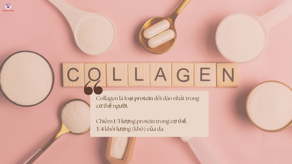 công dụng của collagen